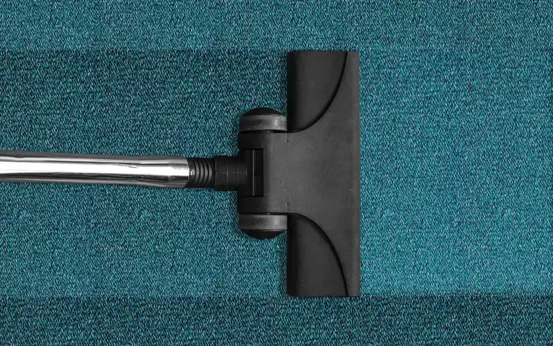 overhead view of a carpet cleaner brush head on textured carpet