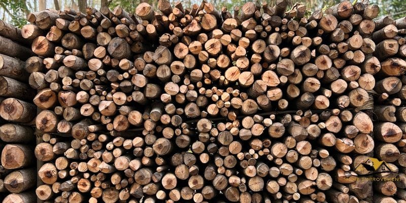 How Long Does It Take Firewood to Dry After Rain