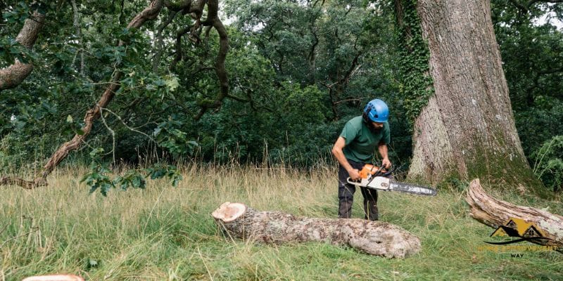 How to Start Makita Chainsaw