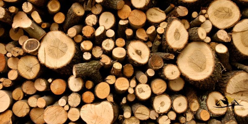 Is Cottonwood Good Firewood?