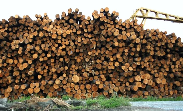 Stacked lumber at a sawmill Stacked lumber at a sawmill