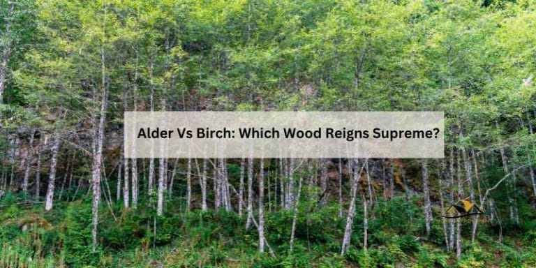 Alder Vs Birch