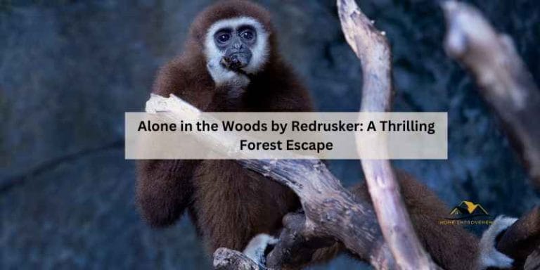 Alone in the Woods by Redrusker