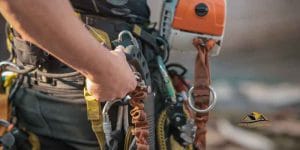 Arborist Chainsaw Pants