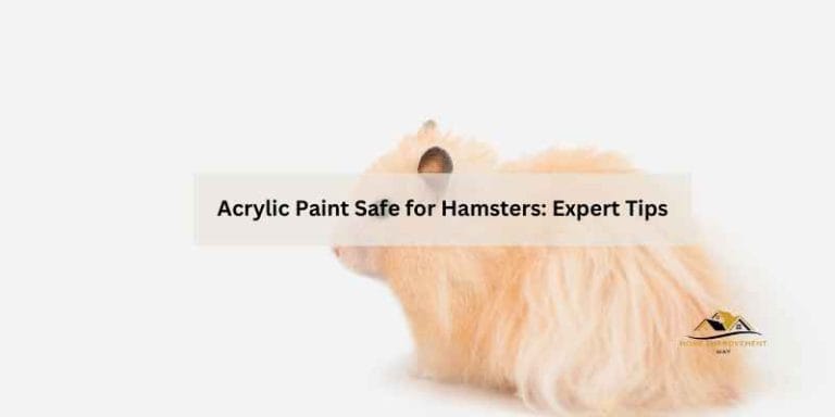 Acrylic Paint Safe for Hamsters