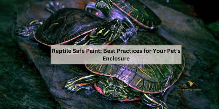 Reptile Safe Paint: Best Practices for Your Pet’s Enclosure