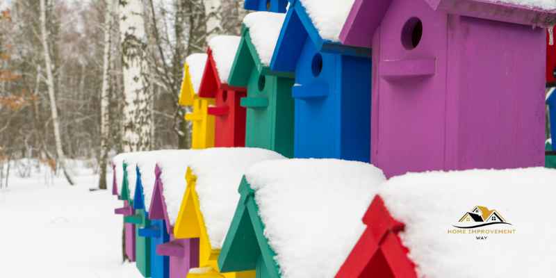 What Colors Should You Paint Your Birdhouse With