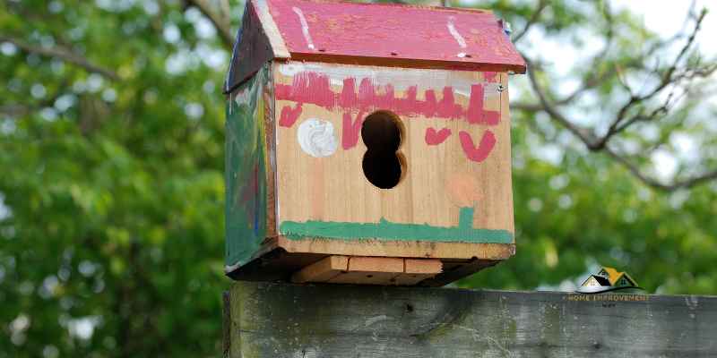 What Colors Should You Paint Your Birdhouse With