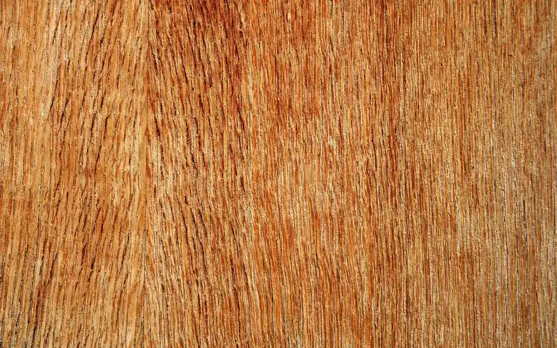 Close-up of plywood sheet wood grain used for sound-blocking wall assemblies Close-up of plywood sheet wood grain used for sound-blocking wall assemblies