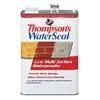 Thompson's WaterSeal Multi-Surface Waterproofer, Clear, 1 Gal