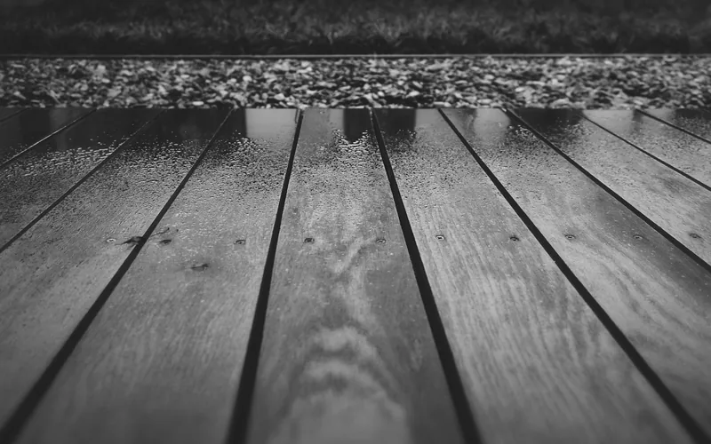 rain beading on a wet wood deck board surface with visible screw heads