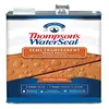 Thompson's WaterSeal Semi-Transparent Stain (1 Gal)