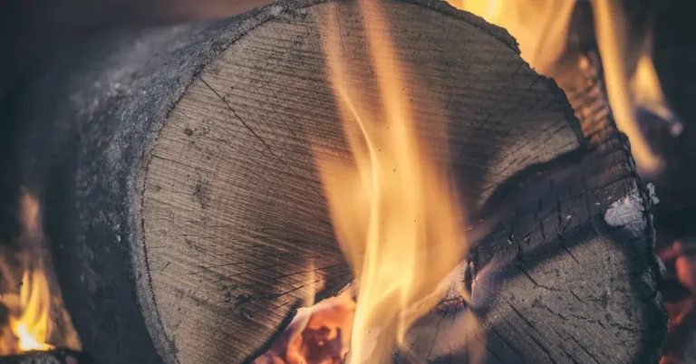 Burning firewood log showing wood heat resistance and combustion at high temperature
