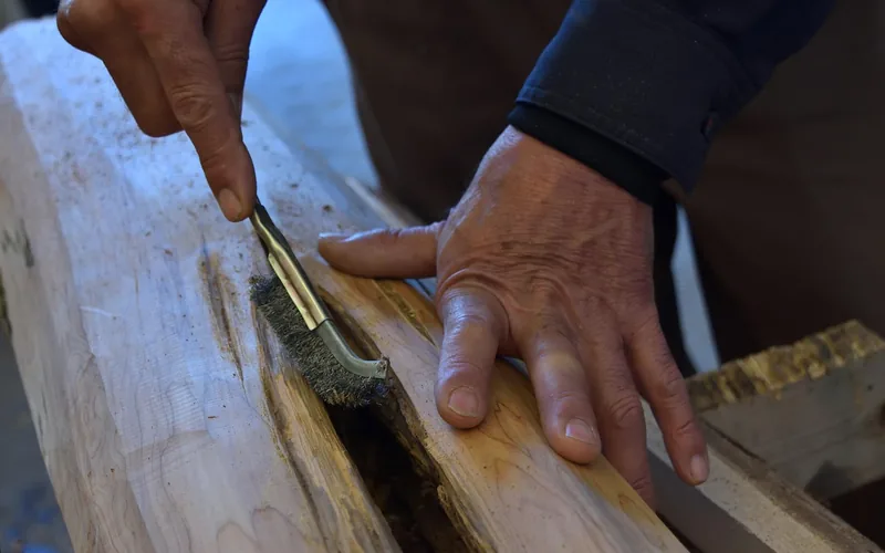 hands using a wire brush to clean loose decayed fibers out of a rotted wood cavity before repair