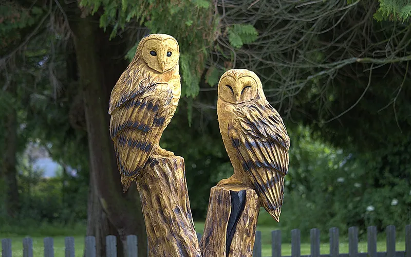 chainsaw-carved owl sculpture rising from a tree stump outdoors chainsaw-carved owl sculpture rising from a tree stump outdoors