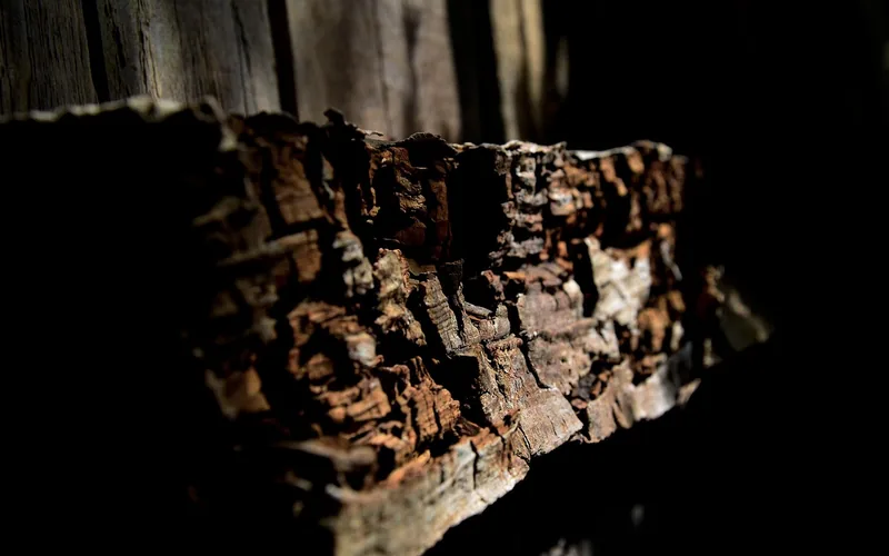 close-up of a wood beam with severe fungal rot damage showing fibrous decayed texture