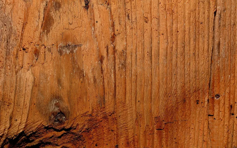 Close-up of natural raw wood grain texture