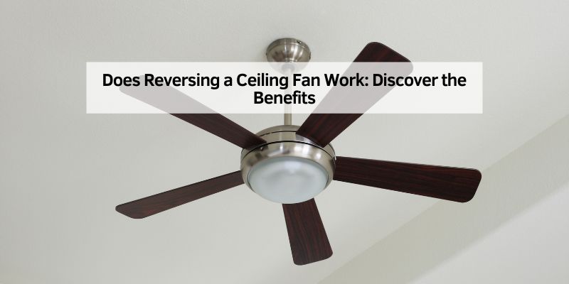 Does Reversing a Ceiling Fan Work