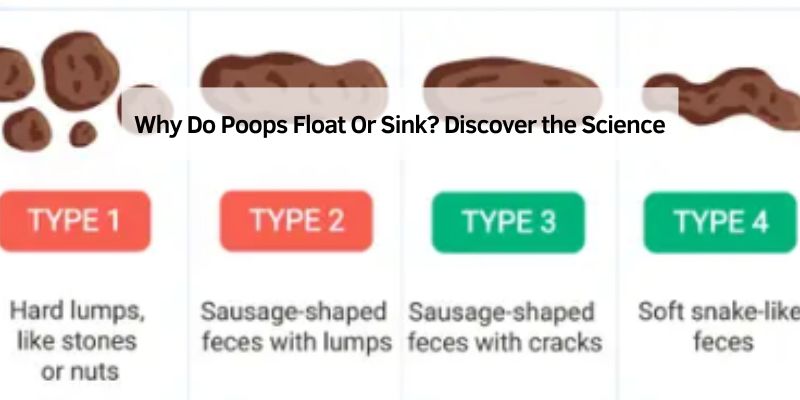 Why Do Poops Float Or Sink
