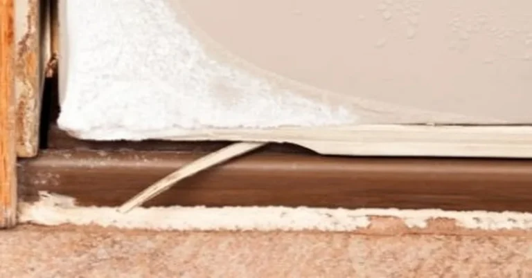Worn door threshold seal gapping away from the frame before replacement