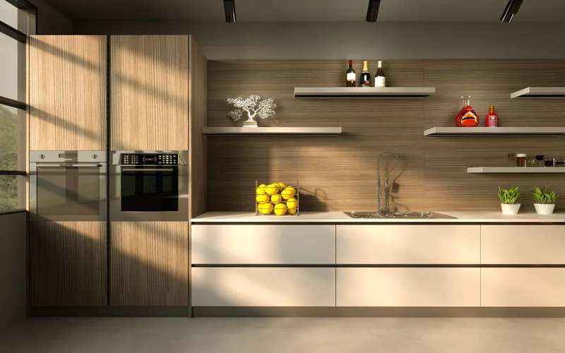 Contemporary wood kitchen cabinets with flush-fitting cabinet doors Contemporary wood kitchen cabinets with flush-fitting cabinet doors