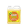 Smart n Easy paint and varnish remover gel