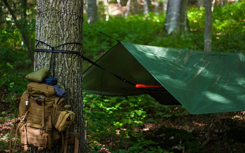green canvas tarp rigged as a ridgeline shelter between two trees in a forest green canvas tarp rigged as a ridgeline shelter between two trees in a forest