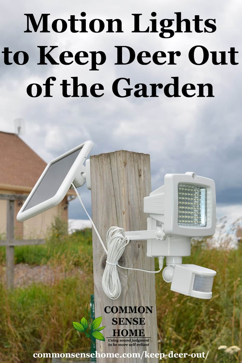 Will Motion Lights Deter Deer