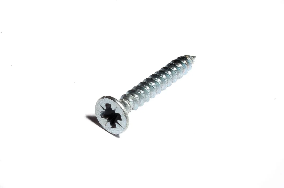 Close-up of a cross-head wood screw
