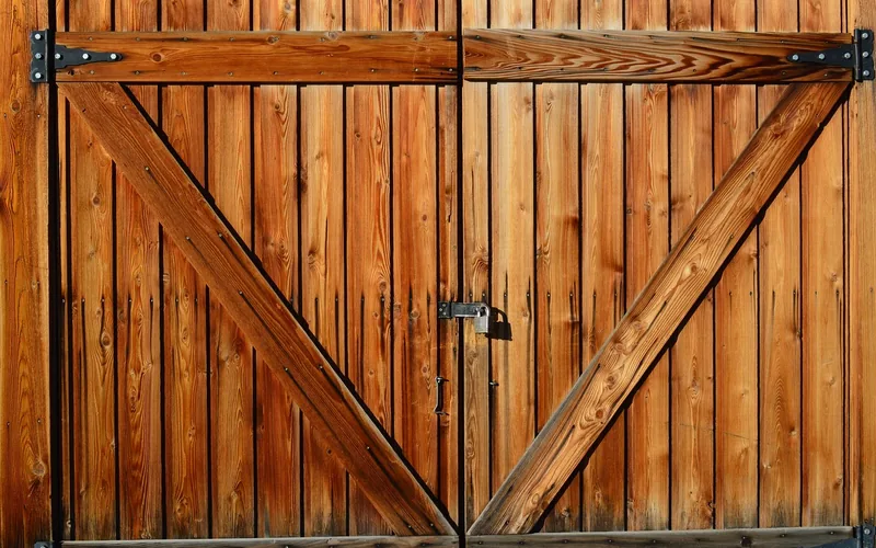 wooden double shed door with diagonal bracing, strap hinges, and a center padlock