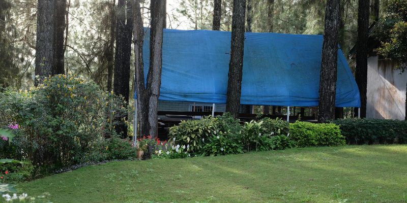 Creative Uses for Your Tarp Setup