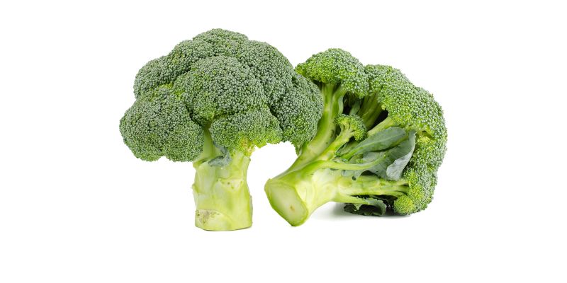 Does Broccoli Make Your Urine Smell
