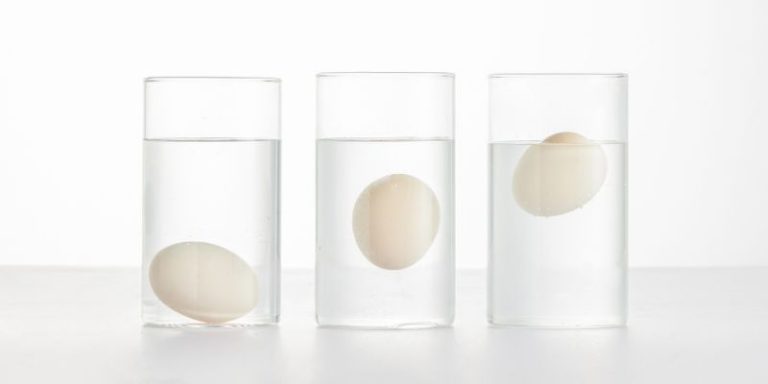 Does Fresh Eggs Float or Sink