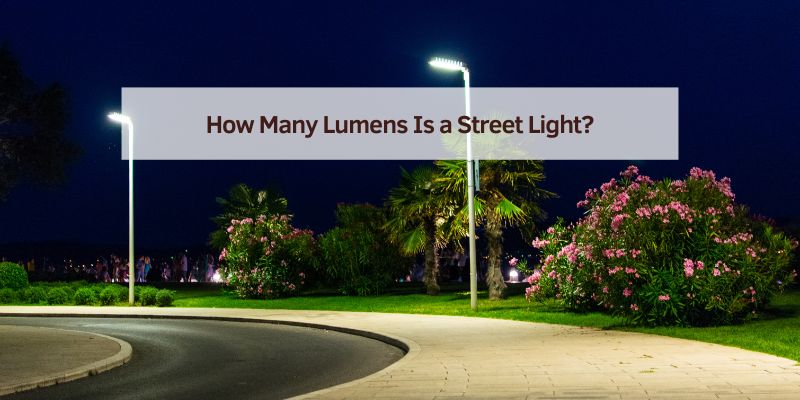 How Many Lumens Is a Street Light