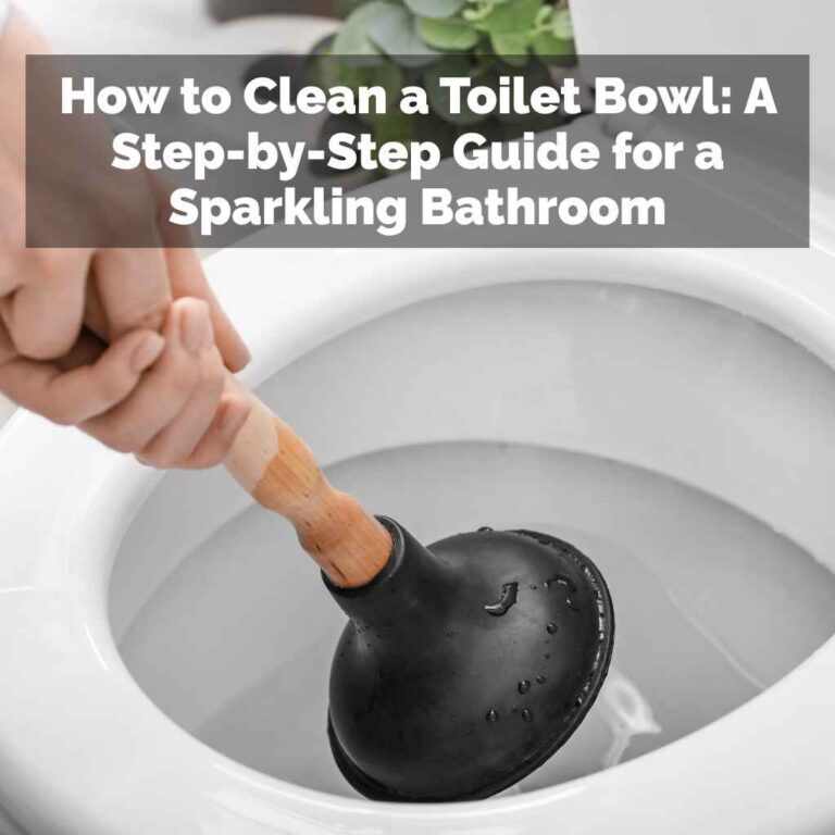 How to Clean a Toilet Bowl