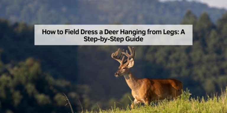 How to Field Dress a Deer Hanging from Legs