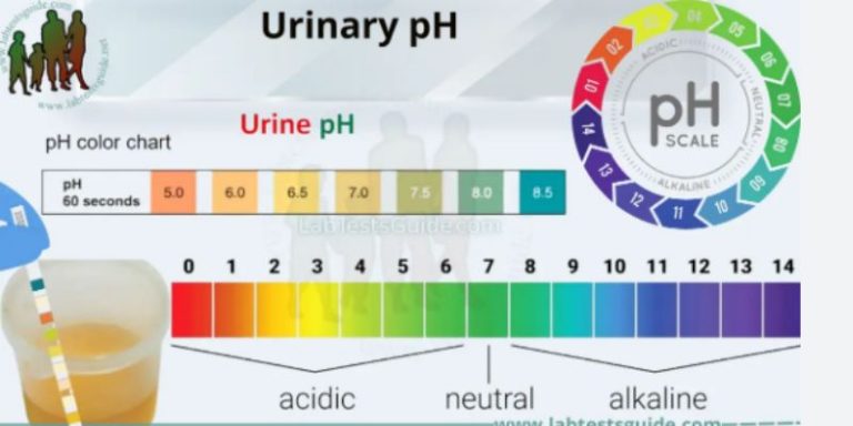 Is It Good If Your Urine Is Clear