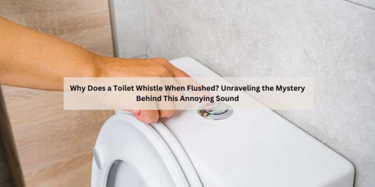 Why Does a Toilet Whistle When Flushed