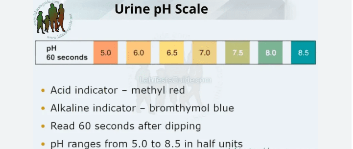 Hydration and Urine pH