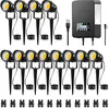 Low voltage landscape lights with 300 watt transformer, 12 pack