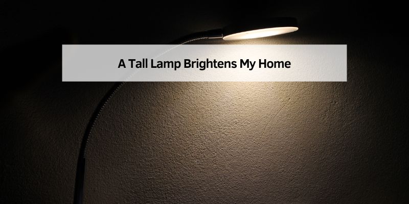 A Tall Lamp Brightens My Home