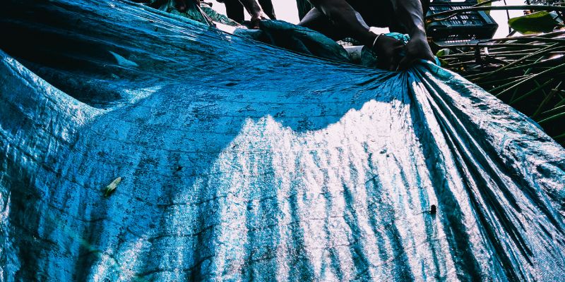 Where to Find Tarps at Dollar Tree