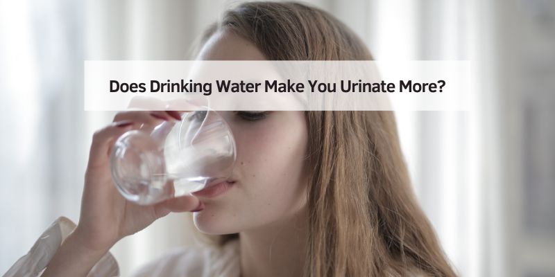Does Drinking Water Make You Urinate More