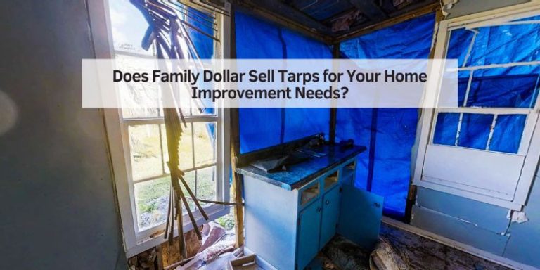 Does Family Dollar Sell Tarps for Your Home Improvement Needs