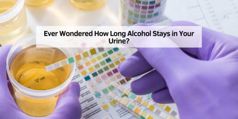 Ever Wondered How Long Alcohol Stays in Your Urine
