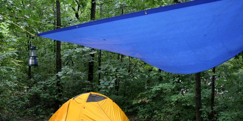 My Favorite Tarp Story