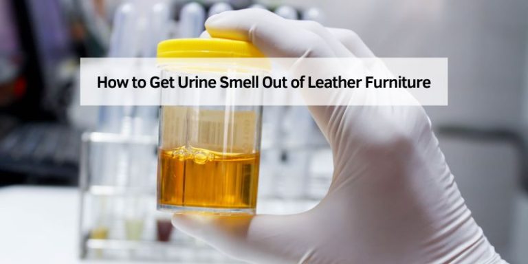 How to Get Urine Smell Out of Leather Furniture