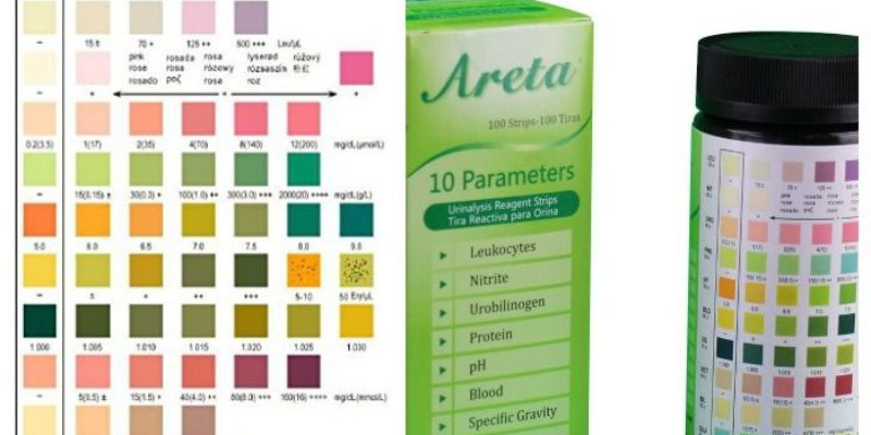 How Do Urine Test Strips Work?