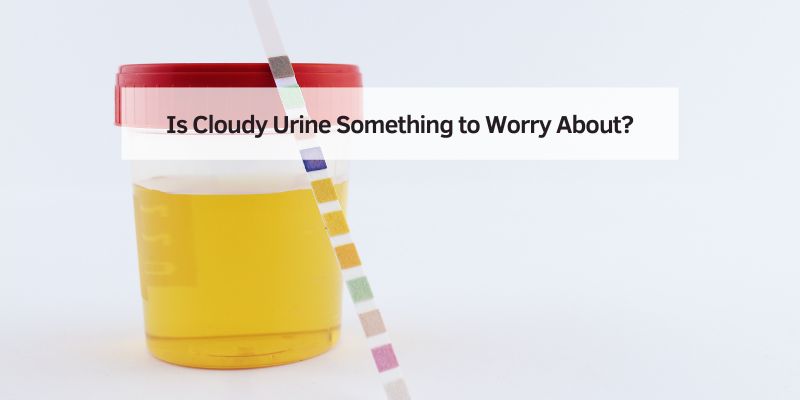 Is Cloudy Urine Something to Worry About