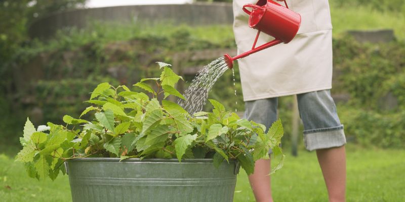 Visual Ideas for Better Understanding